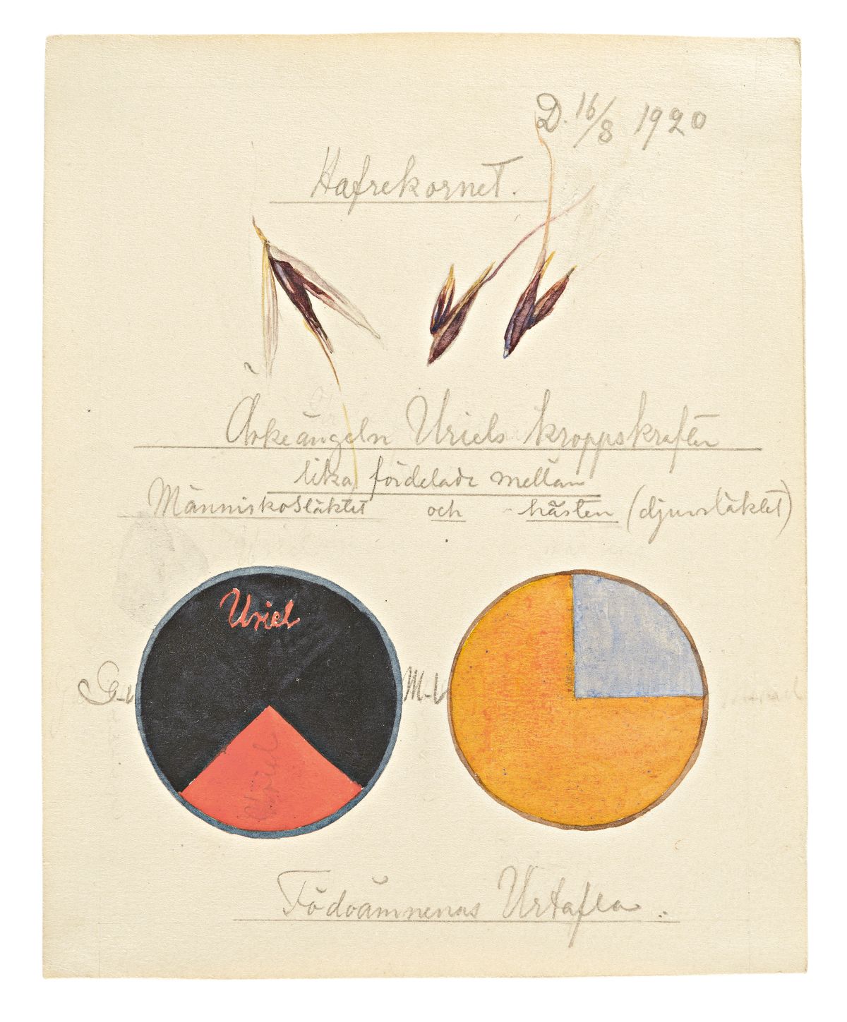 Hilma af Klint Back to a Future Ocula